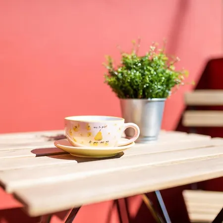San Miguel Con Terraza, Centro Ciudad *